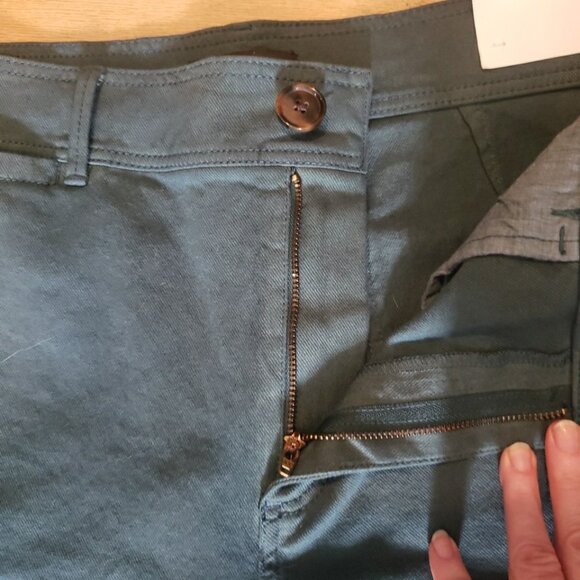 Ann Taylor Pants Twill The Wide Leg Green High Rise Flat Front 14 Stretch NWT - Picture 6 of 8